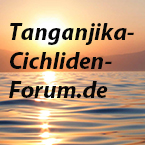 Tanganjika Cichliden Forum